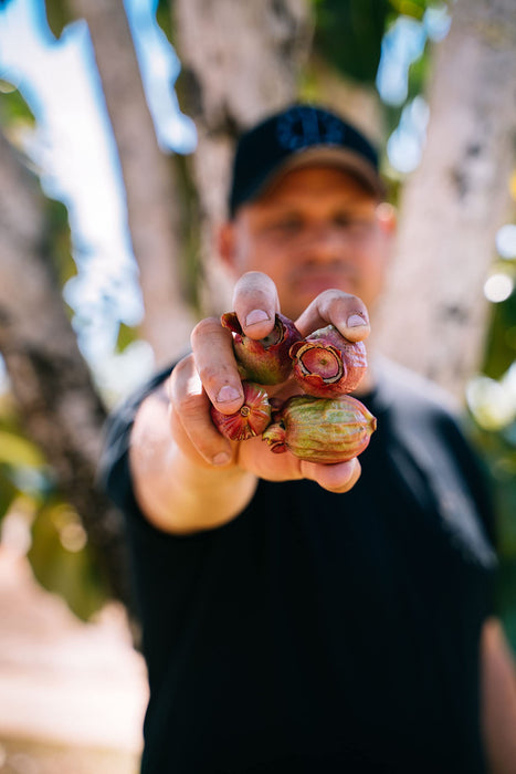 Seven Seasons Bush Apple Gin 700mL  Seven Seasons