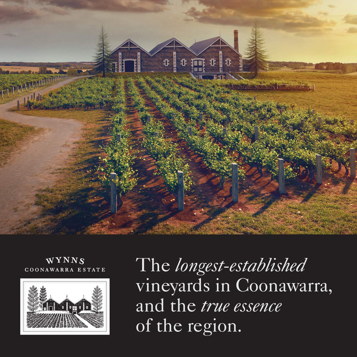 Wynns Coonawarra Shiraz Wine 750ml (Case of 6)  Wynns