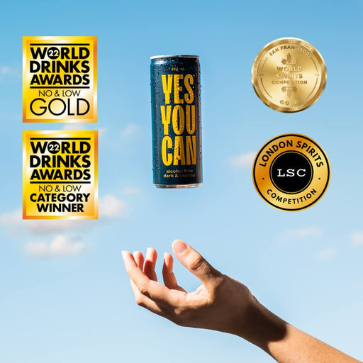 Yes You Can Non-Alcoholic Dark & Stormy Ready To Drink 250ml - 4 Pack  Visit the Yes You Can Drinks Store