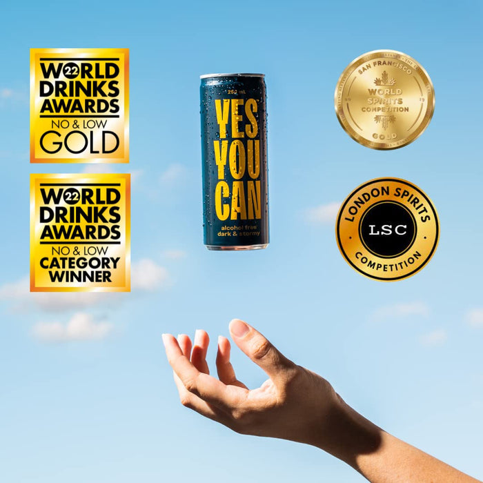 Yes You Can Non-Alcoholic Dark & Stormy Ready To Drink 250ml - 4 Pack  Visit the Yes You Can Drinks Store