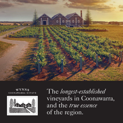 Wynns Coonawarra Shiraz Wine 750ml (Case of 6)  Wynns
